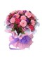 Carnation