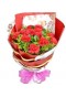 Carnation