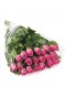 20 pink roses