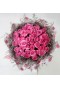 36 pink roses