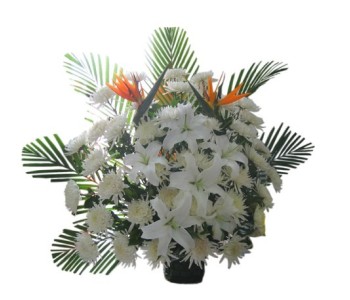 Chrysanthemums with lily