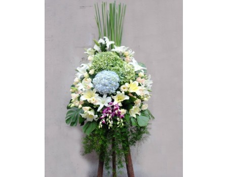 Openning flower as HK