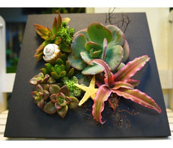 Flowers Photo Frame