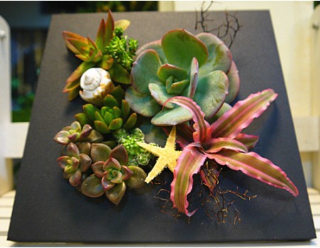 Flowers Photo Frame