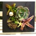 Flowers Photo Frame