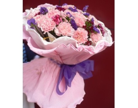 18 pink carnations