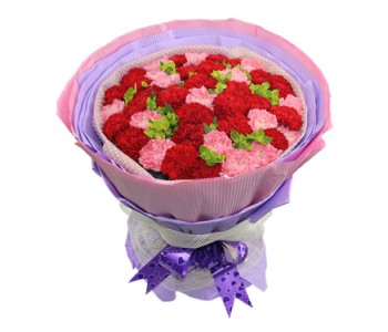 50 stems carnations