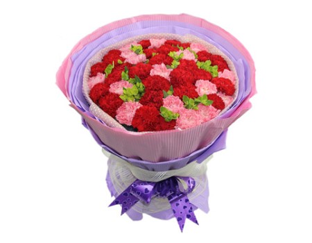 50 stems carnations