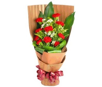 9 stems red carnations