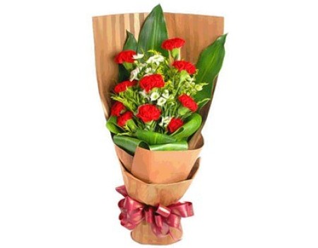 9 stems red carnations