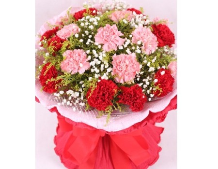 19 stems carnations