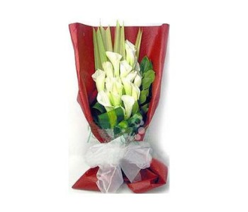 16 white callas