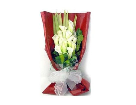 16 white callas