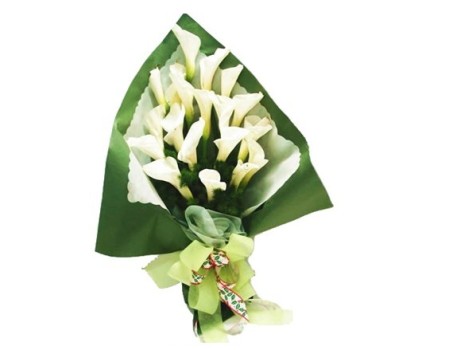 20 white callas