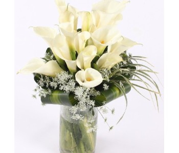 Callas in vase