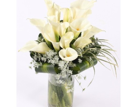 Callas in vase