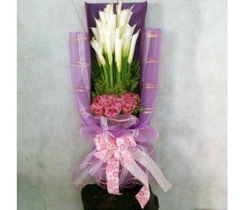 Purple lover