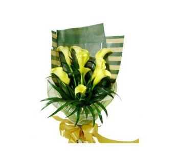 9 stems yellow callas
