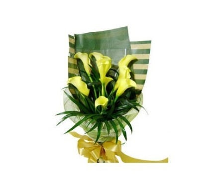 9 stems yellow callas