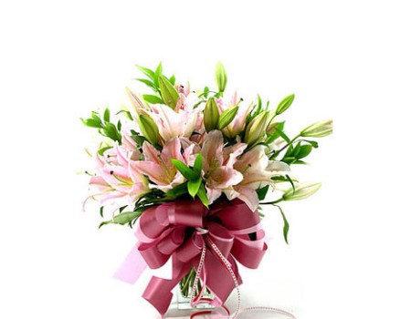 Pink lily