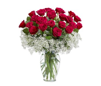 24 red roses in vase