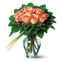 12 champagne roses