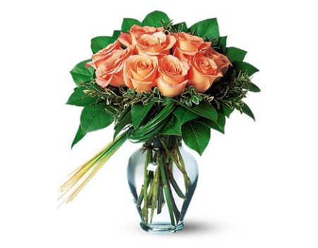 12 champagne roses
