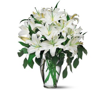 White lily