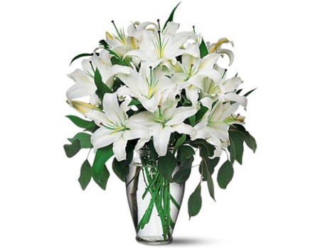 White lily