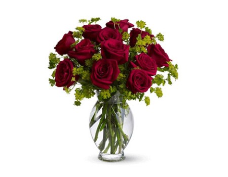 One Dozen Sweet Roses