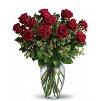 A dozen red roses in vase