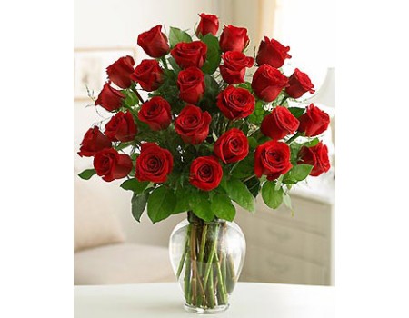 Two dozen red roses