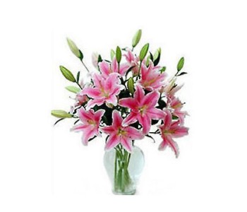 6 pink lilies in vase