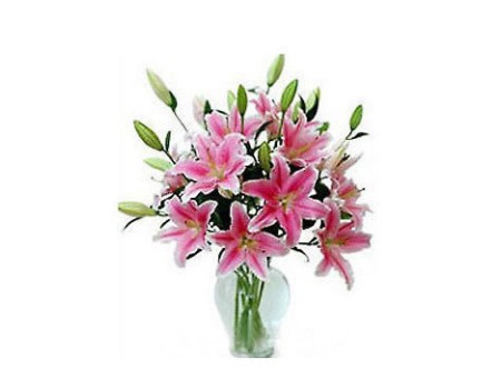 6 pink lilies in vase