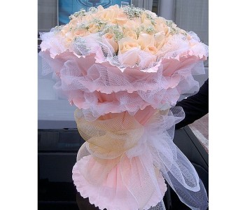 Champagne Roses