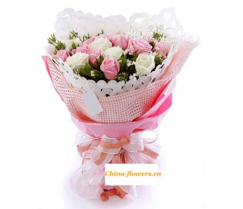Pink and White Rose