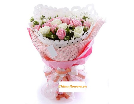 Pink and White Rose