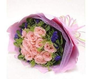 Pink Rose