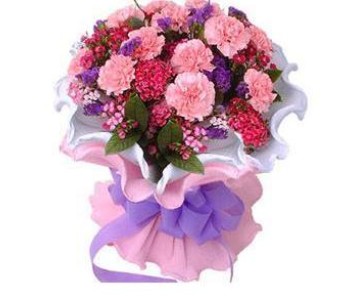 Carnation