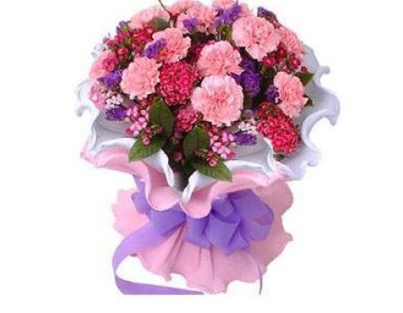 Carnation