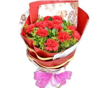 Carnation