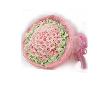 33 Pink Roses