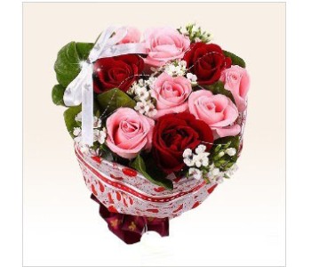 Pink and Red roes