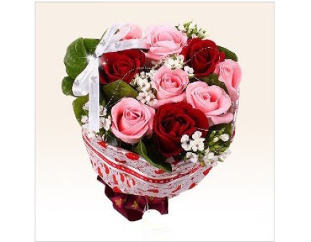 Pink and Red roes