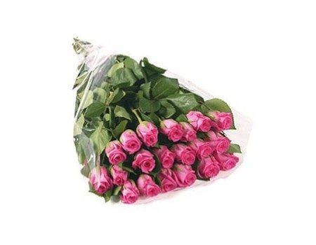 Elegant simple pack 20 roses