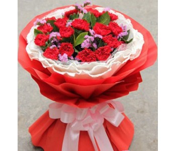 15 stems Carnations