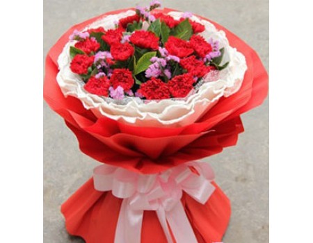 15 stems Carnations